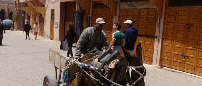 DSC03988_copy_1296x1944