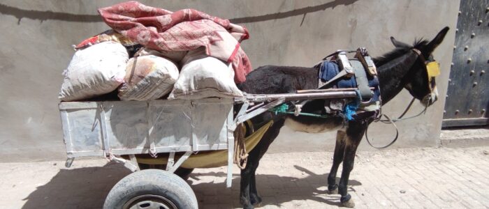 IMG_20220425_104102_copy_1224x1224