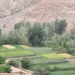 Dolina/Kanjon rijeke Dades