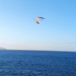 Beam Me Down, Transmediterránea